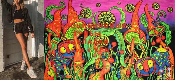 кокс Каменка