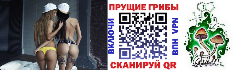 Купить где  Выборг  Псилоцибиновые грибы ЛСД 